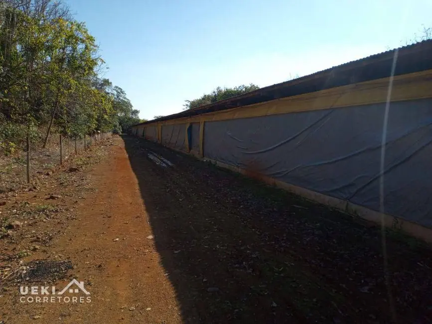 Sítio / Rancho à venda, 60500m2 em Londrina - PR - imagem 6 Foto 6 de Sítio / Rancho à venda, 60500m2 em Londrina - PR