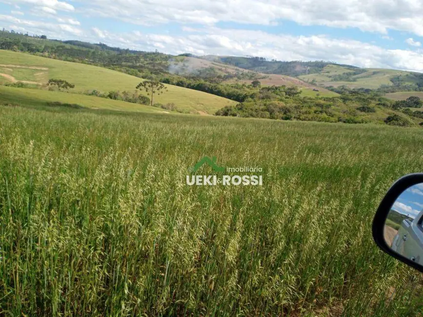 Foto 6 de Fazenda / Haras à venda, 1089000m2 em Sao Jeronimo Da Serra - PR