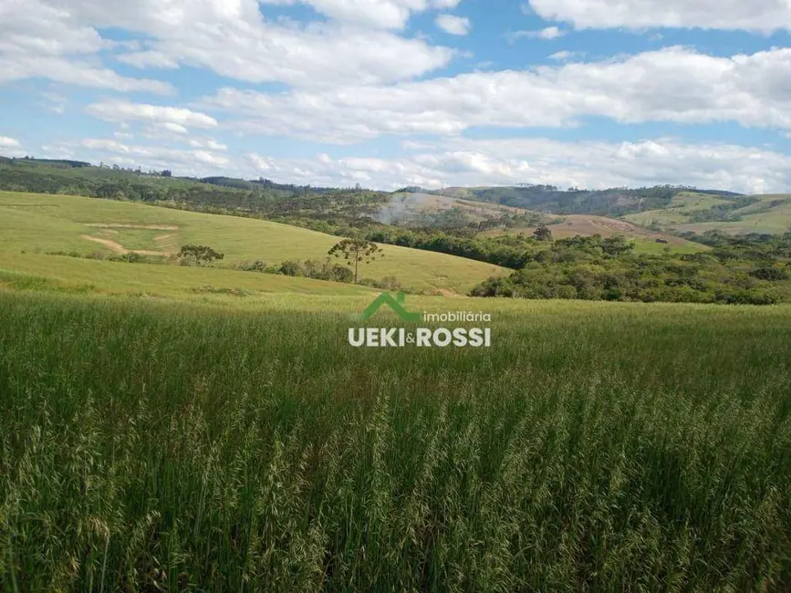 Foto 7 de Fazenda / Haras à venda, 1089000m2 em Sao Jeronimo Da Serra - PR