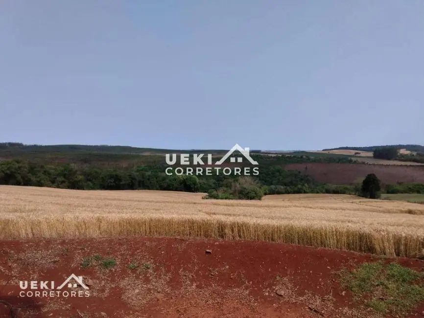 Sítio / Rancho à venda, 242000m2 em Londrina - PR - imagem 5 Foto 5 de Sítio / Rancho à venda, 242000m2 em Londrina - PR