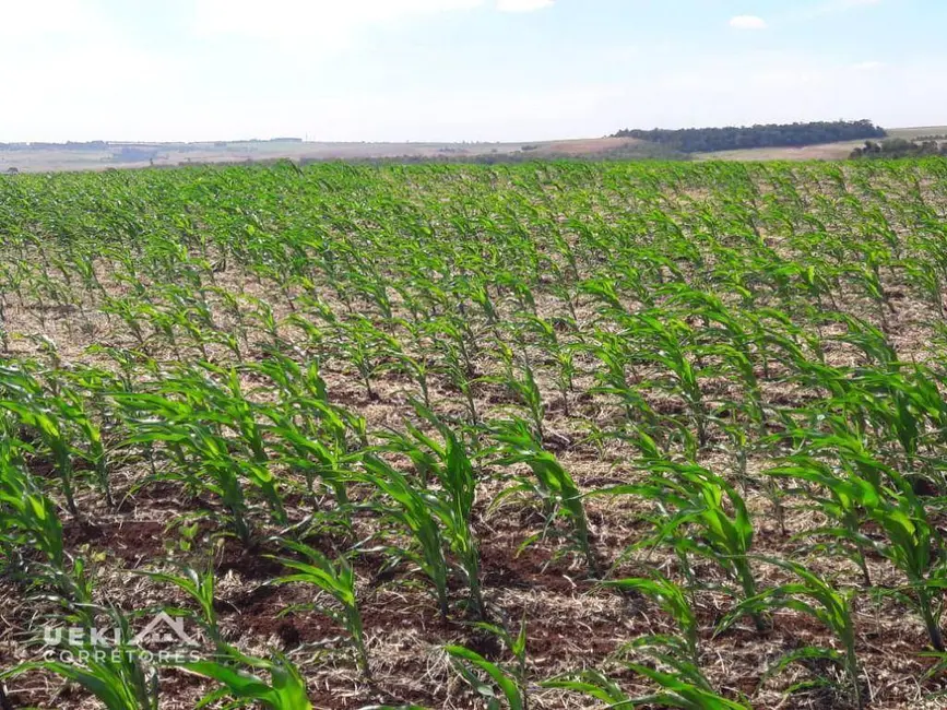 Foto 6 de Fazenda / Haras à venda, 1694000m2 em Sertanopolis - PR