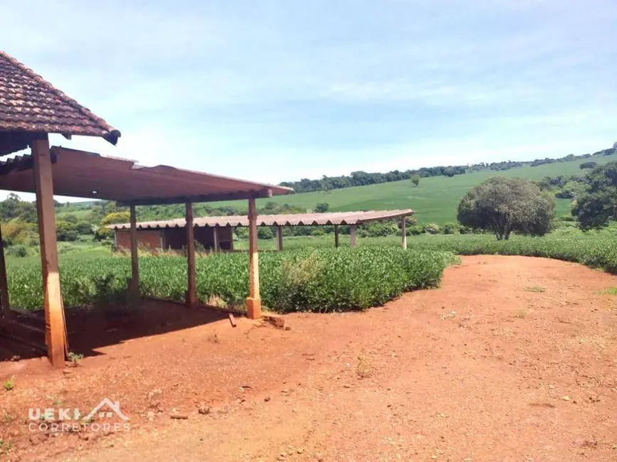 Foto 7 de Fazenda / Haras à venda, 1694000m2 em Sertanopolis - PR