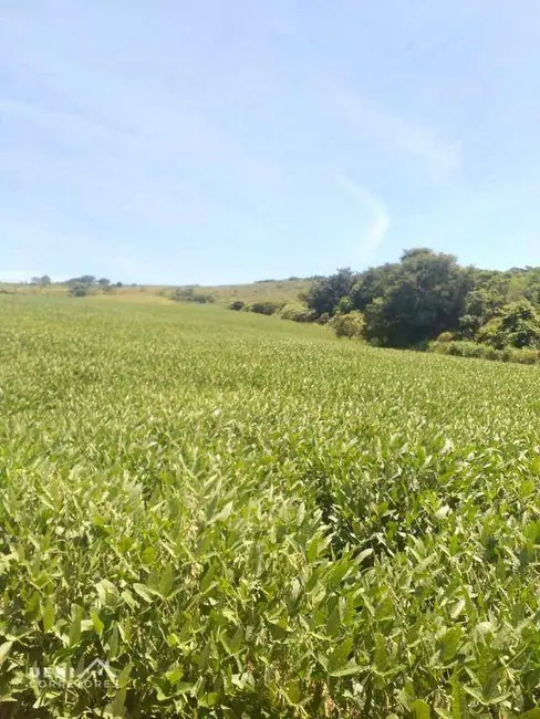 Foto 3 de Fazenda / Haras à venda, 1694000m2 em Sertanopolis - PR