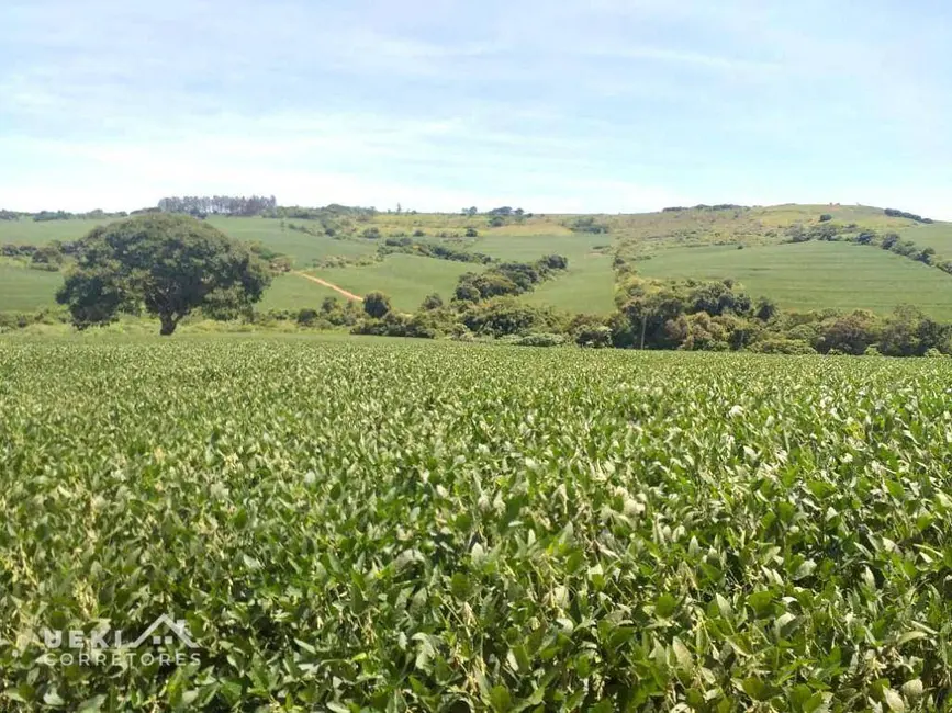 Foto 4 de Fazenda / Haras à venda, 1694000m2 em Sertanopolis - PR