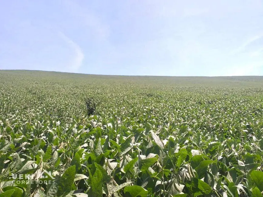 Foto 5 de Fazenda / Haras à venda, 1694000m2 em Sertanopolis - PR