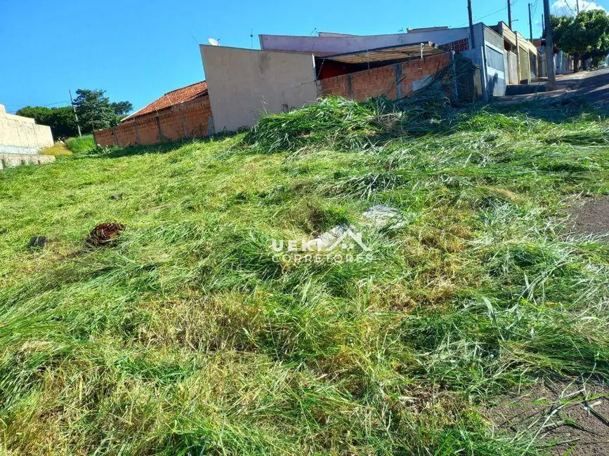 Terreno / Lote à venda, 316m2 em Carnascialli, Londrina - PR - imagem 2 Foto 2 de Terreno / Lote à venda, 316m2 em Carnascialli, Londrina - PR