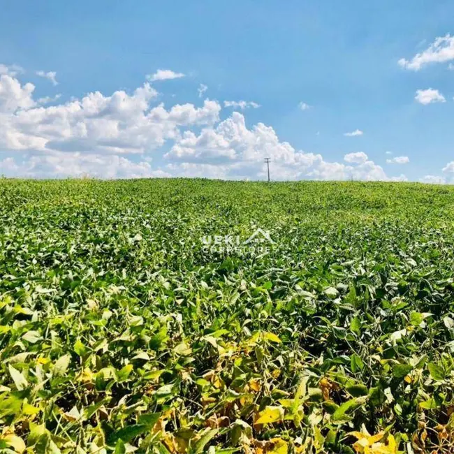 Fazenda / Haras à venda, 2081200m2 em Sertanopolis - PR - imagem 2 Foto 2 de Fazenda / Haras à venda, 2081200m2 em Sertanopolis - PR