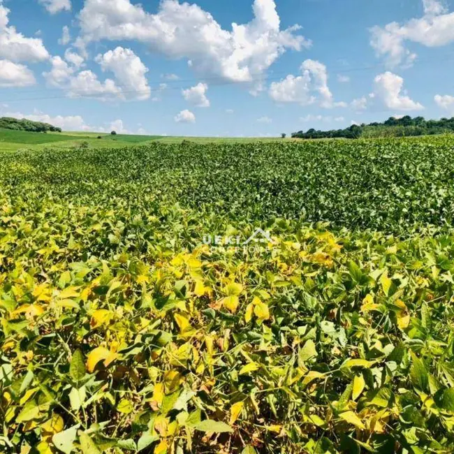 Fazenda / Haras à venda, 2081200m2 em Sertanopolis - PR - imagem 3 Foto 3 de Fazenda / Haras à venda, 2081200m2 em Sertanopolis - PR