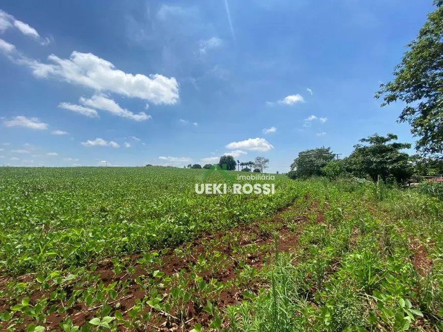 Foto 9 de Sítio / Rancho à venda, 121000m2 em Ibipora - PR