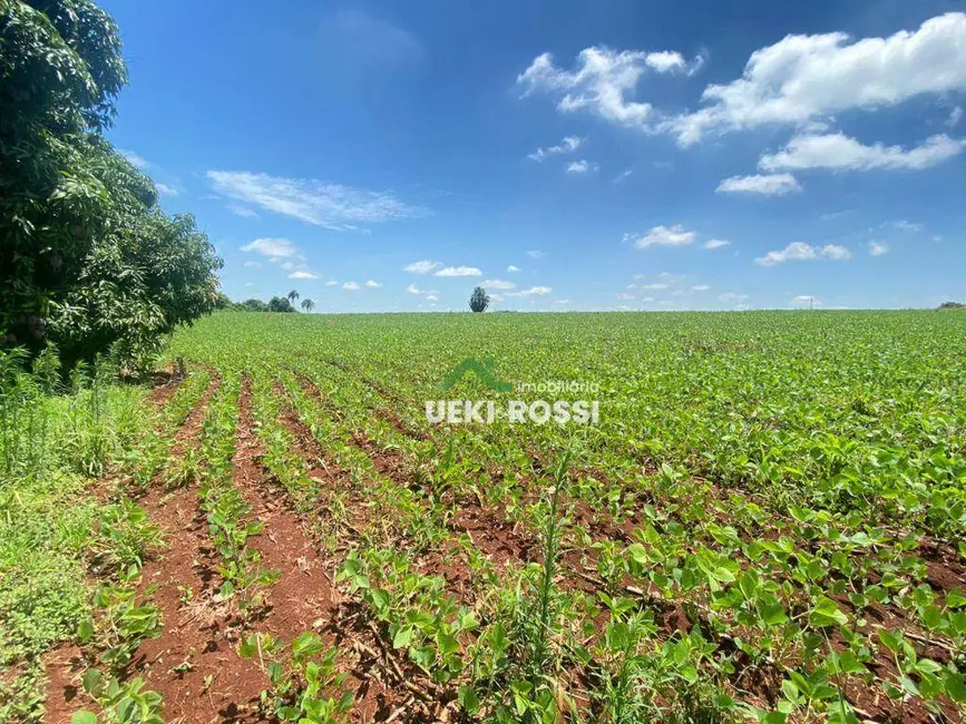 Foto 7 de Sítio / Rancho à venda, 121000m2 em Ibipora - PR