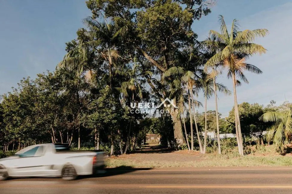 Chácara com 3 quartos à venda, 10000m2 em Centro, Arapongas - PR - imagem 3 Foto 3 de Chácara com 3 quartos à venda, 10000m2 em Centro, Arapongas - PR