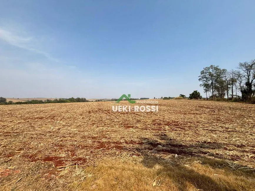 Sítio / Rancho à venda, 242000m2 em Centro, Cambe - PR - imagem 7 Foto 7 de Sítio / Rancho à venda, 242000m2 em Centro, Cambe - PR