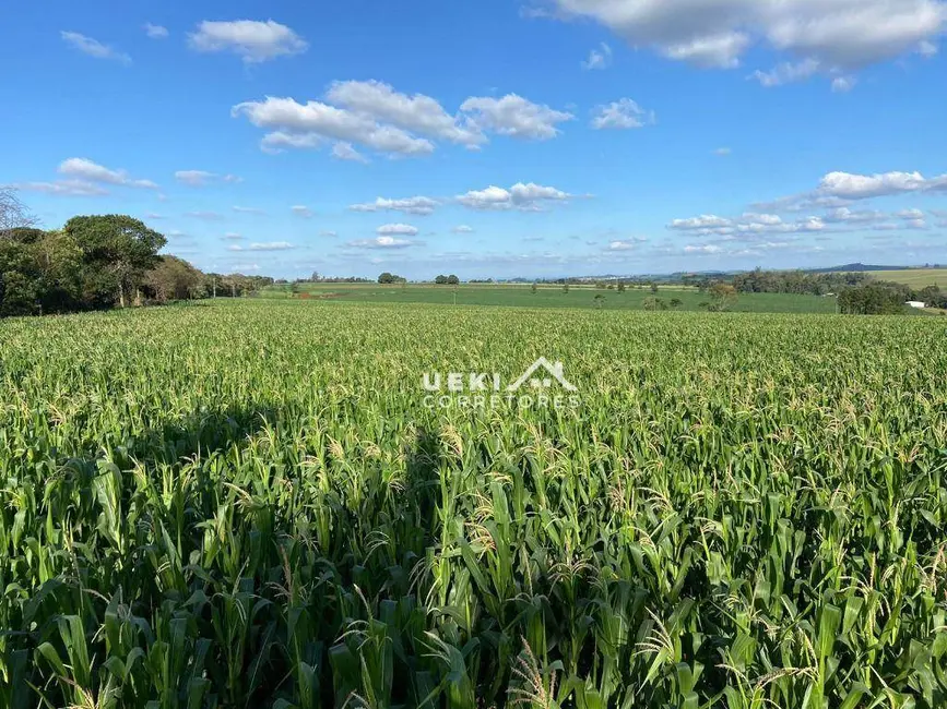 Sítio / Rancho à venda, 242000m2 em Centro, Cambe - PR - imagem 3 Foto 3 de Sítio / Rancho à venda, 242000m2 em Centro, Cambe - PR
