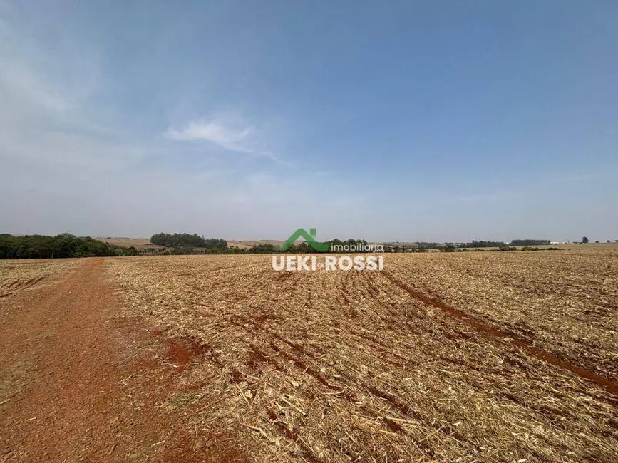 Sítio / Rancho à venda, 242000m2 em Centro, Cambe - PR - imagem 9 Foto 9 de Sítio / Rancho à venda, 242000m2 em Centro, Cambe - PR