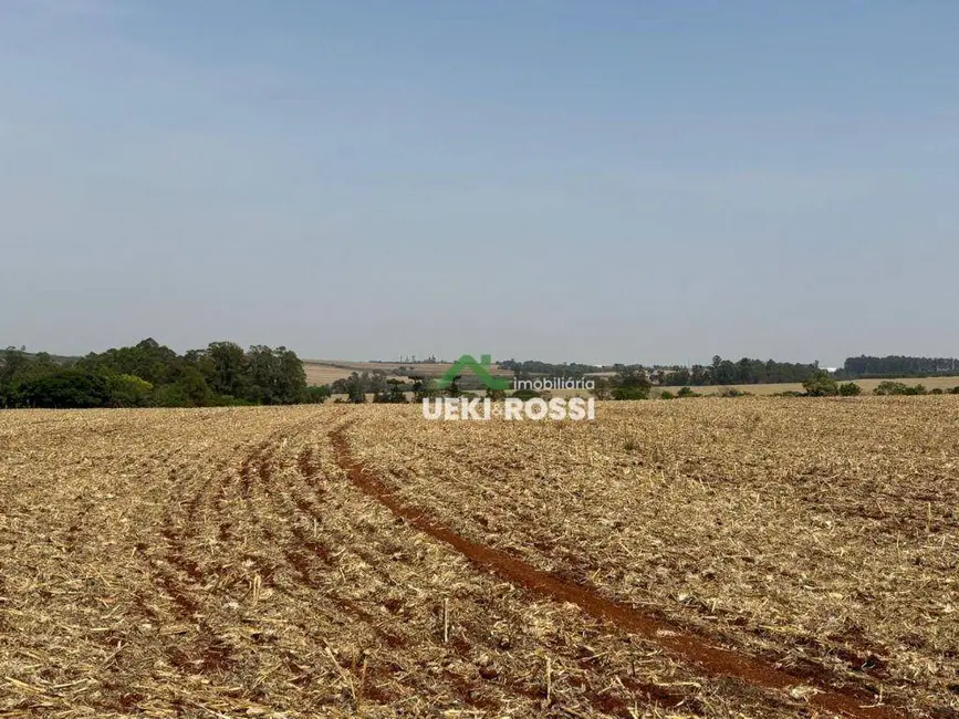 Sítio / Rancho à venda, 242000m2 em Centro, Cambe - PR - imagem 8 Foto 8 de Sítio / Rancho à venda, 242000m2 em Centro, Cambe - PR