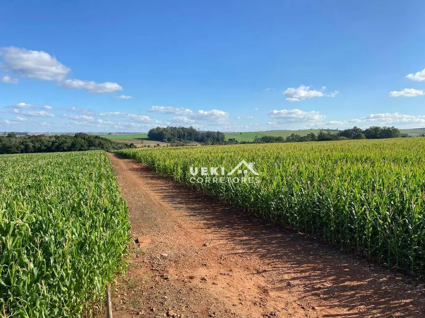 Sítio / Rancho à venda, 242000m2 em Centro, Cambe - PR - imagem 6 Foto 6 de Sítio / Rancho à venda, 242000m2 em Centro, Cambe - PR