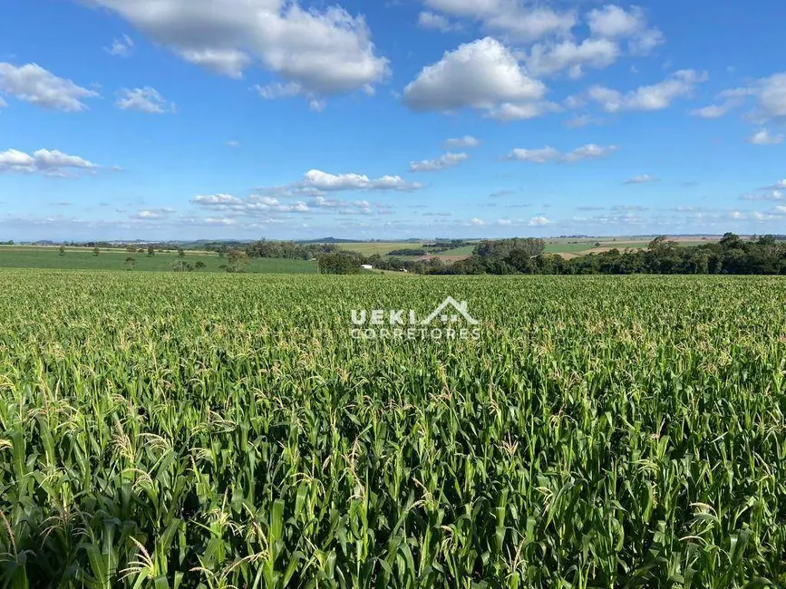 Sítio / Rancho à venda, 242000m2 em Centro, Cambe - PR - imagem 4 Foto 4 de Sítio / Rancho à venda, 242000m2 em Centro, Cambe - PR