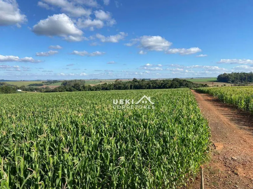 Sítio / Rancho à venda, 242000m2 em Centro, Cambe - PR - imagem 5 Foto 5 de Sítio / Rancho à venda, 242000m2 em Centro, Cambe - PR