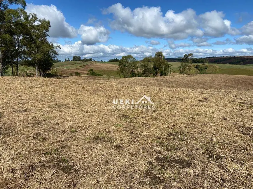 Foto 8 de Fazenda / Haras à venda, 3267000m2 em Sao Jeronimo Da Serra - PR