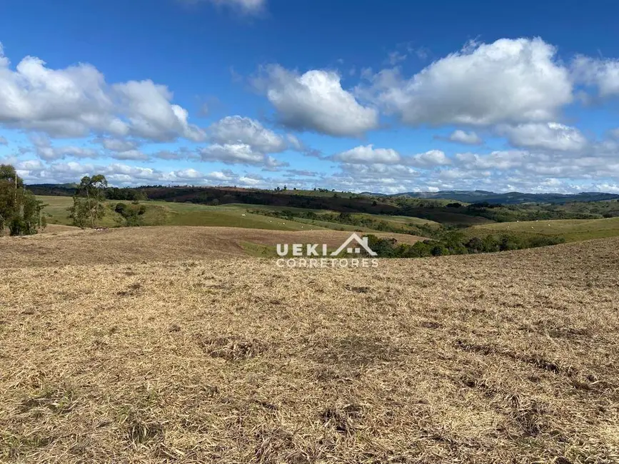 Foto 9 de Fazenda / Haras à venda, 3267000m2 em Sao Jeronimo Da Serra - PR
