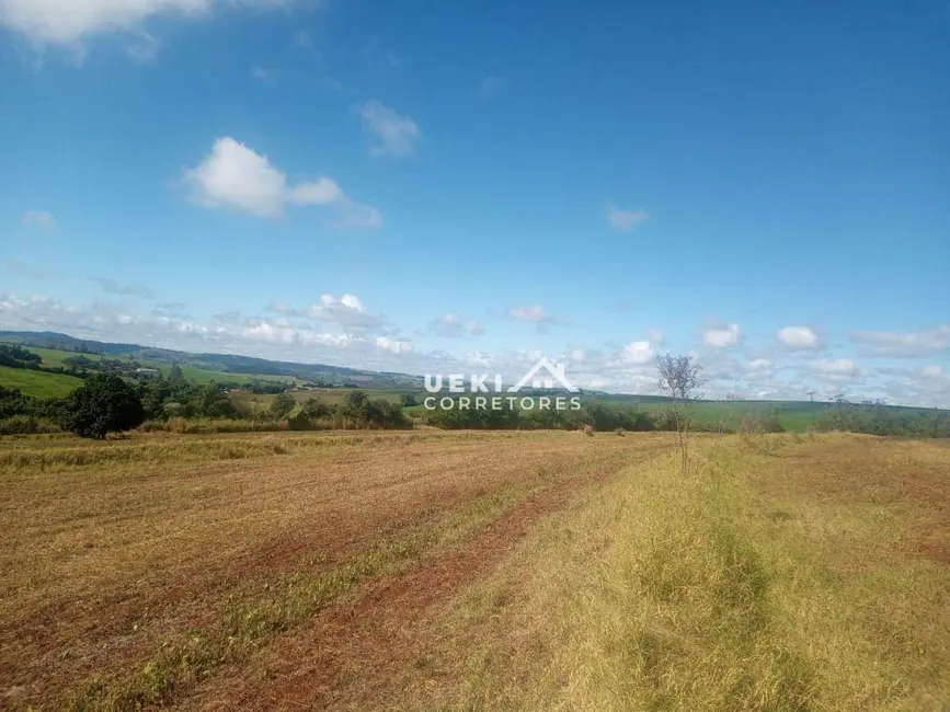 Sítio / Rancho à venda, 121000m2 em Londrina - PR - imagem 5 Foto 5 de Sítio / Rancho à venda, 121000m2 em Londrina - PR