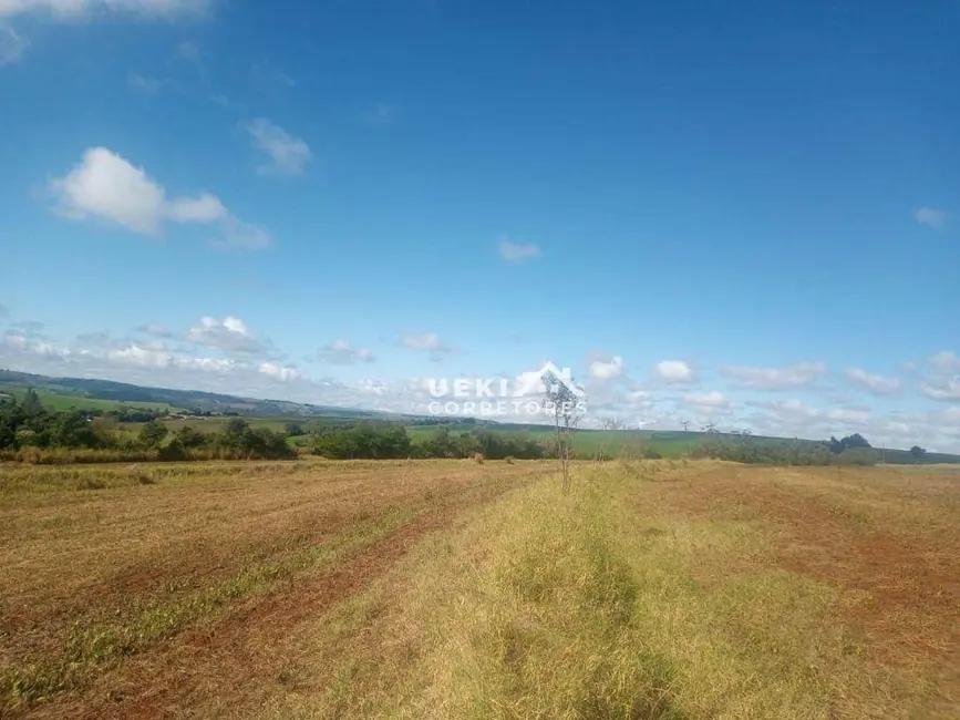 Sítio / Rancho à venda, 121000m2 em Londrina - PR - imagem 3 Foto 3 de Sítio / Rancho à venda, 121000m2 em Londrina - PR