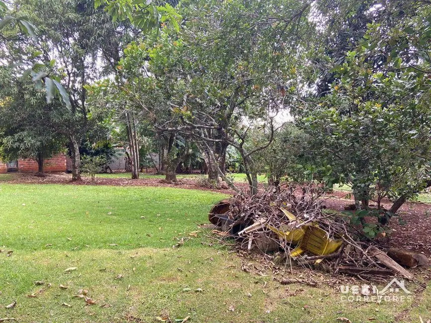Chácara com 1 quarto à venda, 14000m2 em Cafezal, Londrina - PR - imagem 4 Foto 4 de Chácara com 1 quarto à venda, 14000m2 em Cafezal, Londrina - PR