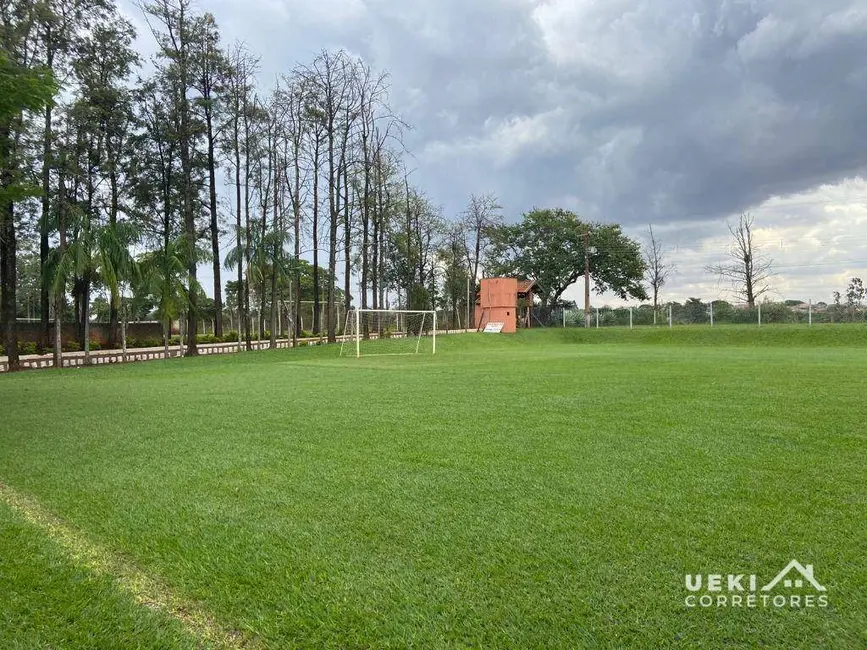 Chácara com 1 quarto à venda, 14000m2 em Cafezal, Londrina - PR - imagem 6 Foto 6 de Chácara com 1 quarto à venda, 14000m2 em Cafezal, Londrina - PR
