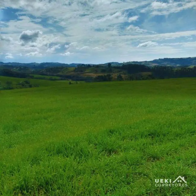 Foto 1 de Fazenda / Haras à venda, 3146000m2 em Centro, Ortigueira - PR