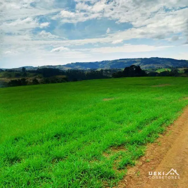 Foto 2 de Fazenda / Haras à venda, 3146000m2 em Centro, Ortigueira - PR