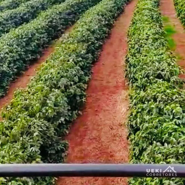 Foto 5 de Fazenda / Haras à venda, 2420000m2 em Centro, Santo Antonio Da Platina - PR