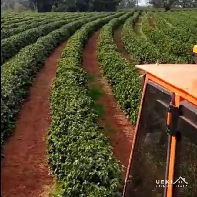 Foto 2 de Fazenda / Haras à venda, 2420000m2 em Centro, Santo Antonio Da Platina - PR