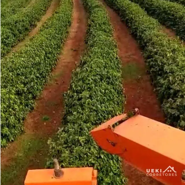Foto 3 de Fazenda / Haras à venda, 2420000m2 em Centro, Santo Antonio Da Platina - PR