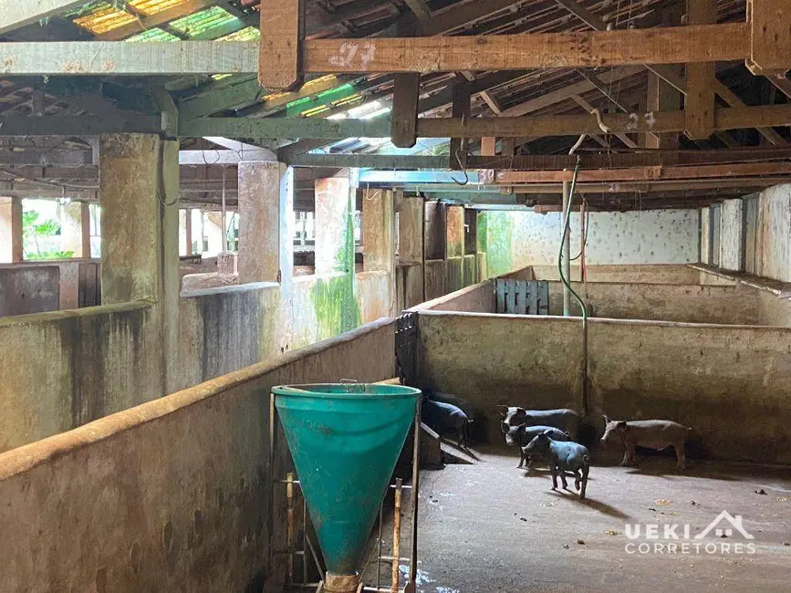 Sítio / Rancho à venda, 84700m2 em Jardim Vale Verde, Londrina - PR - imagem 8 Foto 8 de Sítio / Rancho à venda, 84700m2 em Jardim Vale Verde, Londrina - PR