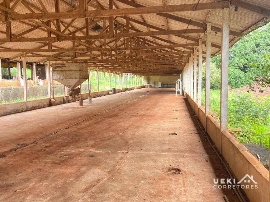 Sítio / Rancho à venda, 84700m2 em Jardim Vale Verde, Londrina - PR - imagem 5 Foto 5 de Sítio / Rancho à venda, 84700m2 em Jardim Vale Verde, Londrina - PR