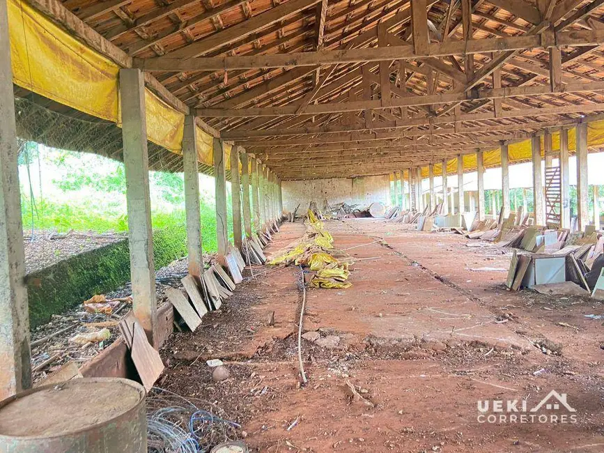 Sítio / Rancho à venda, 84700m2 em Jardim Vale Verde, Londrina - PR - imagem 4 Foto 4 de Sítio / Rancho à venda, 84700m2 em Jardim Vale Verde, Londrina - PR