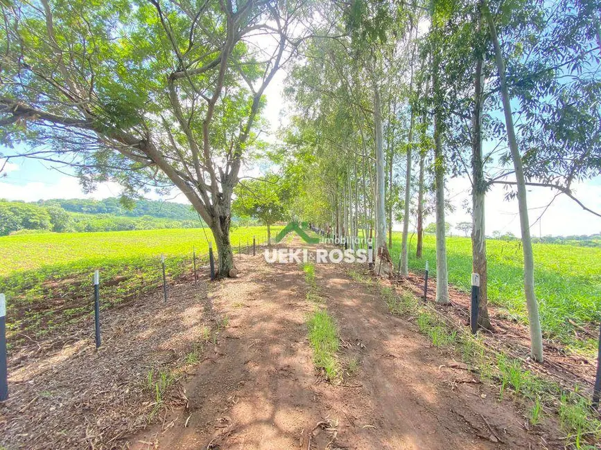 Foto 1 de Fazenda / Haras à venda, 998734m2 em Jataizinho - PR