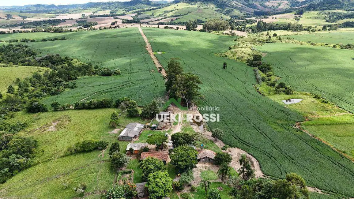 Foto 9 de Fazenda / Haras à venda, 3412200m2 em Rio Branco Do Ivai - PR