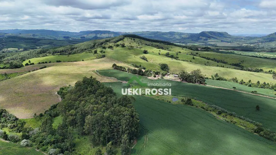 Foto 4 de Fazenda / Haras à venda, 3412200m2 em Rio Branco Do Ivai - PR