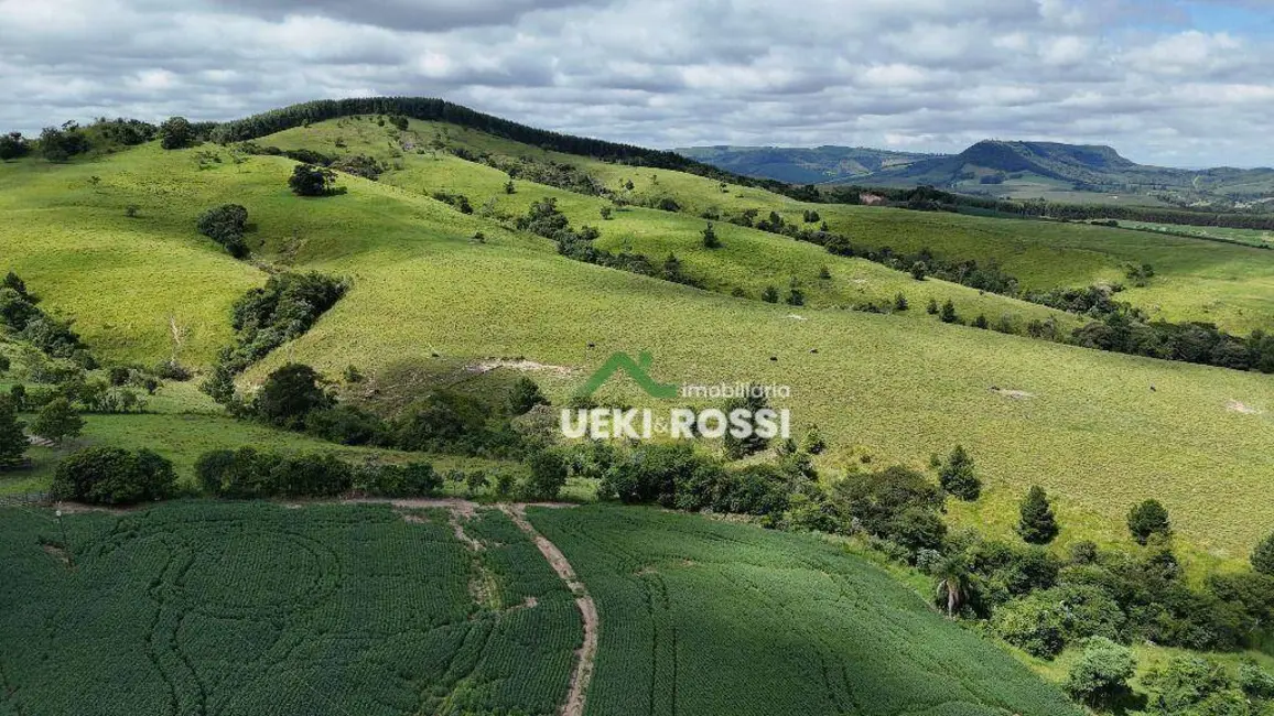 Foto 6 de Fazenda / Haras à venda, 3412200m2 em Rio Branco Do Ivai - PR