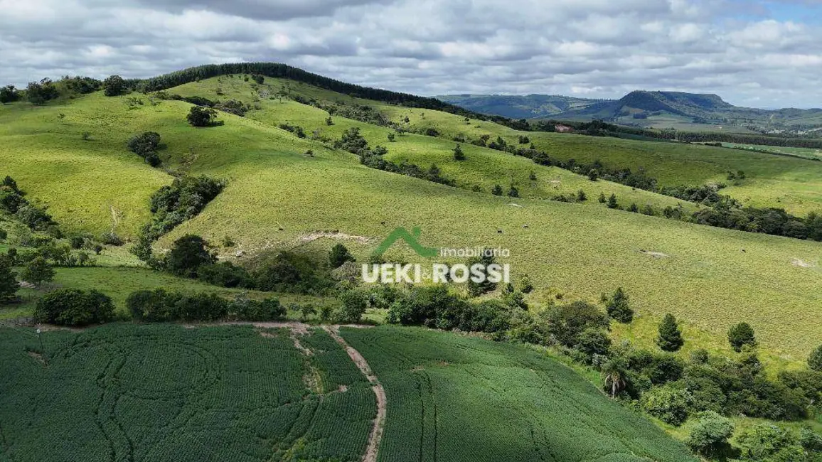 Foto 5 de Fazenda / Haras à venda, 3412200m2 em Rio Branco Do Ivai - PR