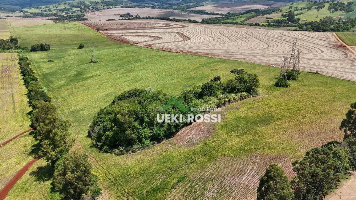 Chácara à venda, 36300m2 em Londrina - PR - imagem 5 Foto 5 de Chácara à venda, 36300m2 em Londrina - PR