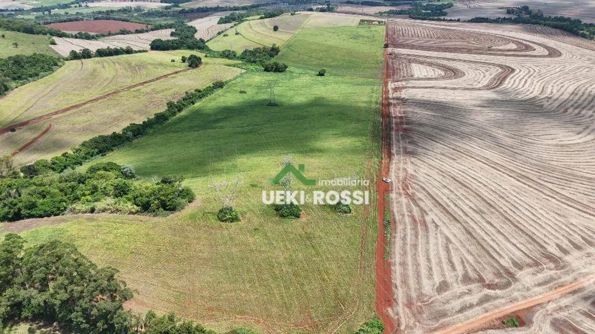 Chácara à venda, 36300m2 em Londrina - PR - imagem 6 Foto 6 de Chácara à venda, 36300m2 em Londrina - PR