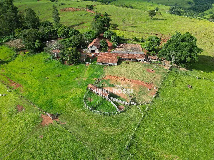 Foto 7 de Fazenda / Haras à venda, 2420000m2 em Grandes Rios - PR