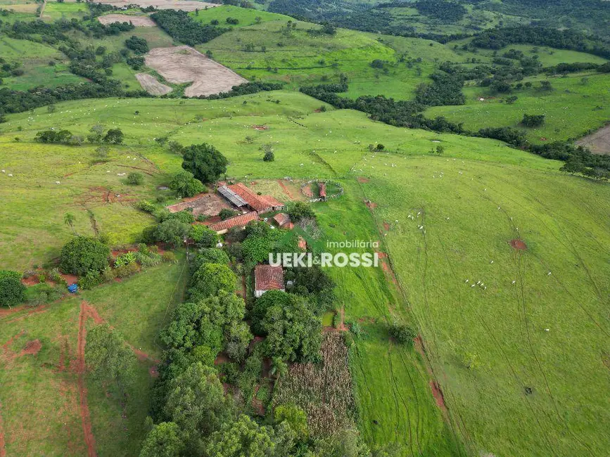 Foto 1 de Fazenda / Haras à venda, 2420000m2 em Grandes Rios - PR