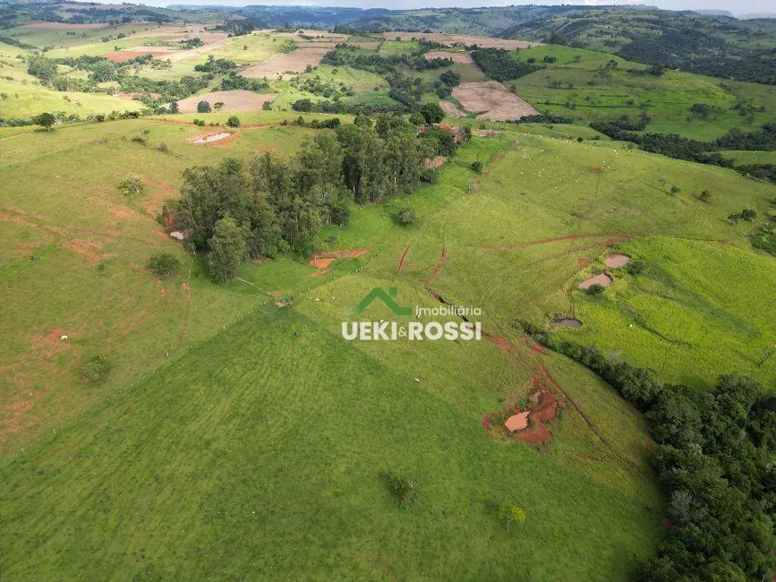 Foto 4 de Fazenda / Haras à venda, 2420000m2 em Grandes Rios - PR