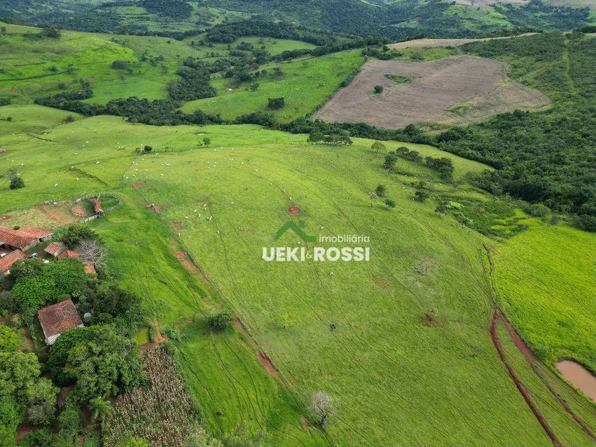 Foto 2 de Fazenda / Haras à venda, 2420000m2 em Grandes Rios - PR