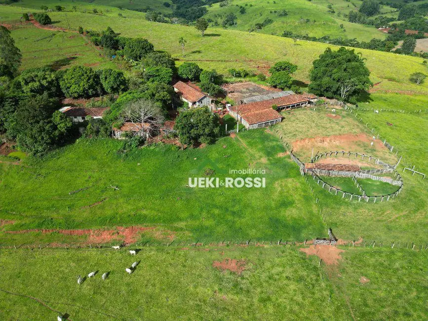 Foto 6 de Fazenda / Haras à venda, 2420000m2 em Grandes Rios - PR