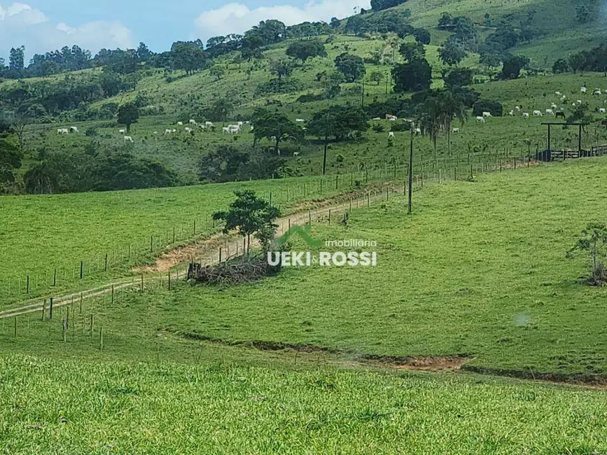 Foto 2 de Fazenda / Haras à venda, 3872000m2 em Centro, Ortigueira - PR