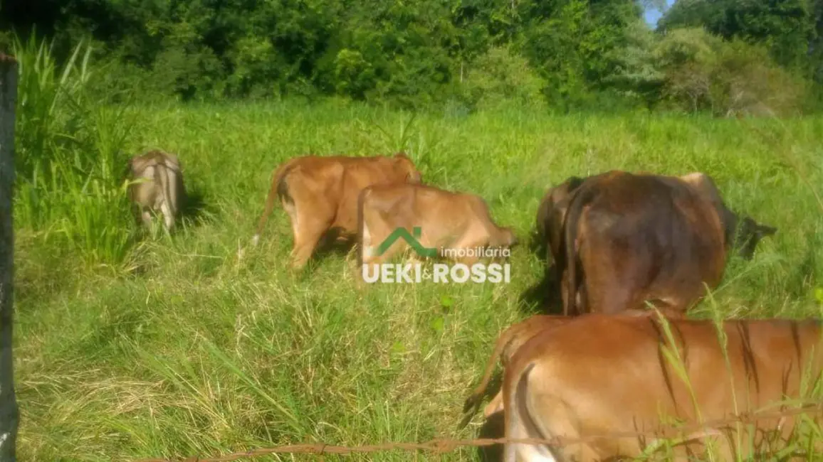 Sítio / Rancho à venda, 123419m2 em Londrina - PR - imagem 8 Foto 8 de Sítio / Rancho à venda, 123419m2 em Londrina - PR